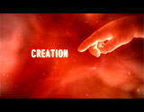 2009 Creation