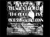 The Cocoanuts (1929)